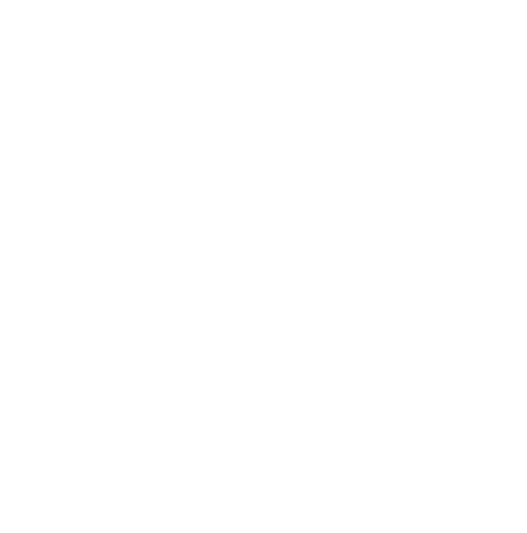 The logo in white